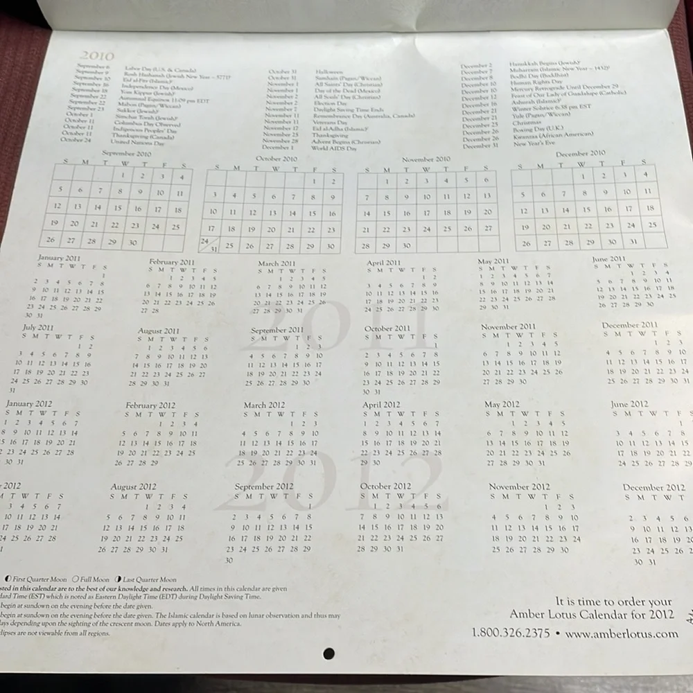 12“ x 12“ 2011 bohemian cats calendar out of package, has not been written in